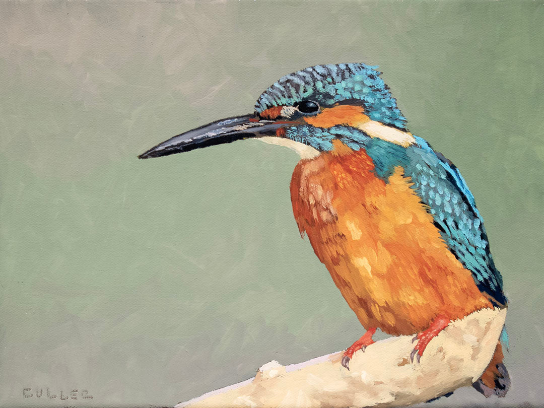 "Kingfisher" 9" x 12" Oil on Linen