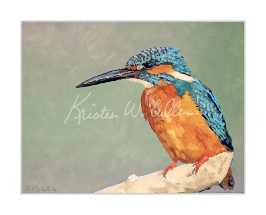 "Kingfisher" Limited Edition Archival Print