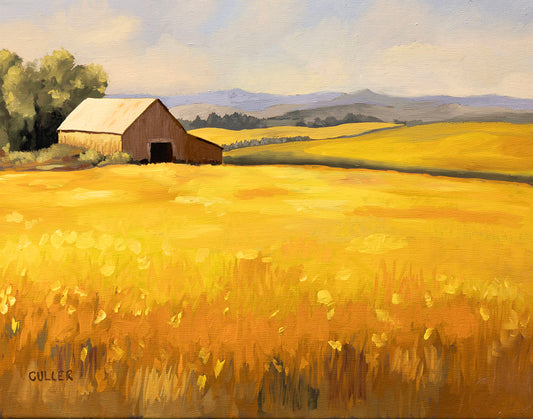 "Golden Fields" 11" x 14" Oil on Linen